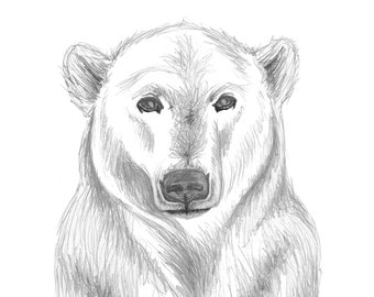 340x270 Pencil Sketch Bear Etsy - Bear Sketch Art