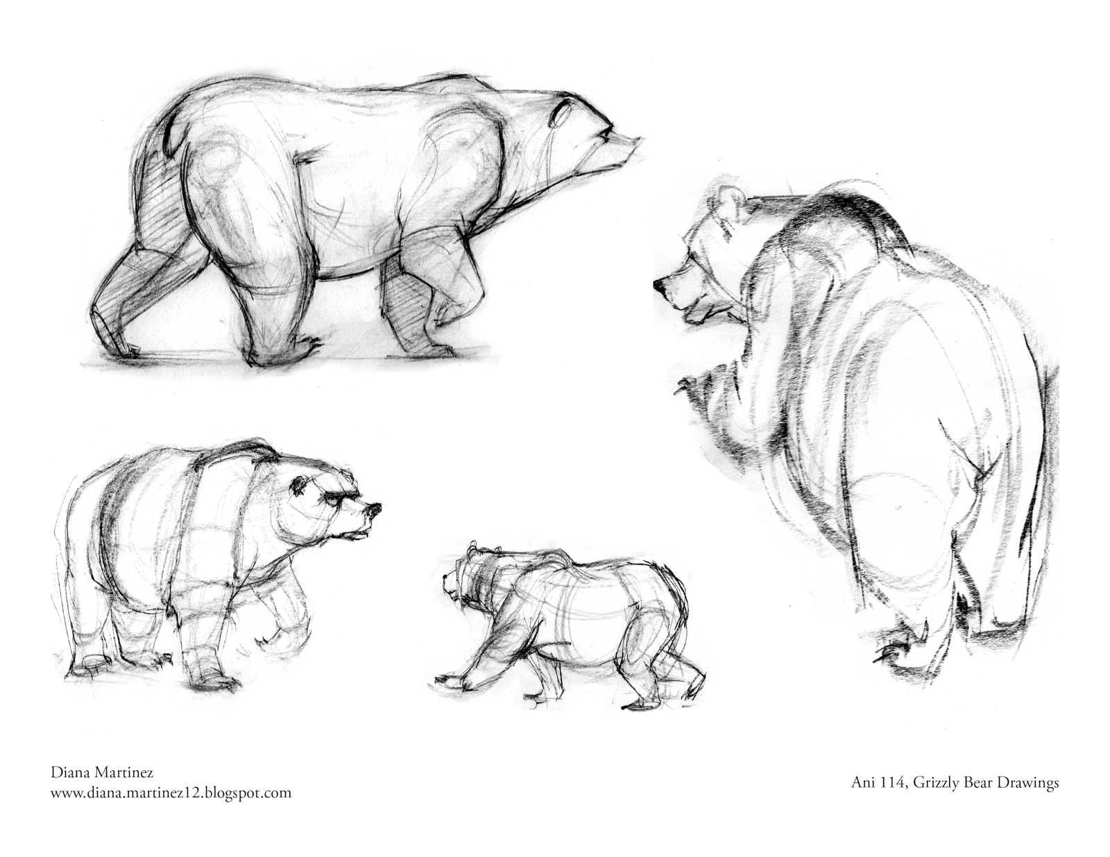 1600x1236 Pin By Mariia Konstantinova On Medvedi Bear Drawing - Bear Sketch Art