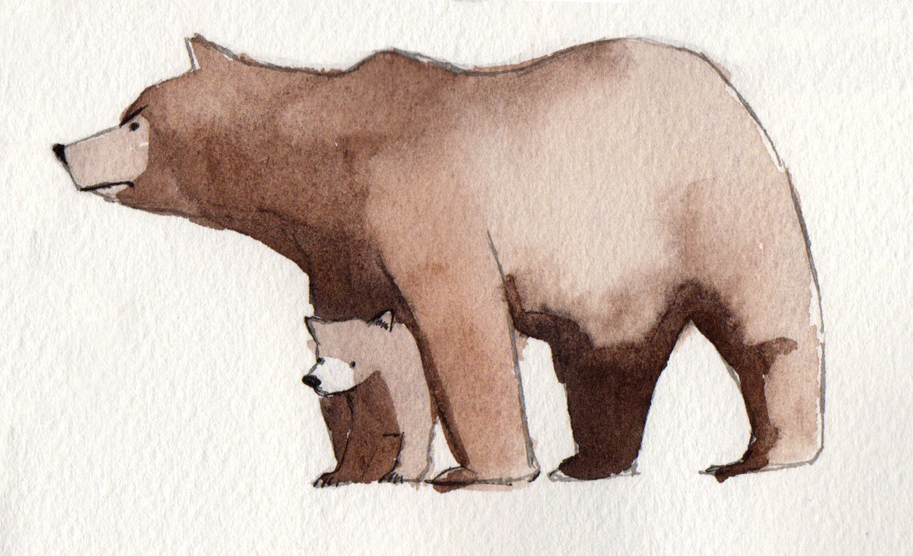 1304x795 Mama Bear Sketch Deborah Hocking Illustration - Bear Sketch Images