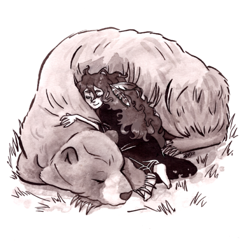500x500 Bear Drawings Tumblr - Bear Sketch Tumblr