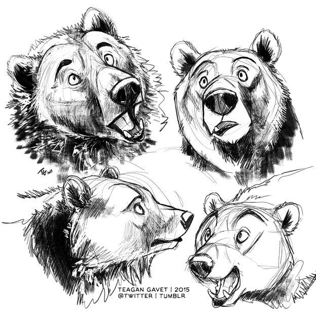 624x623 Burrs 12 30 15 By Teagangavet - Bear Sketch Tumblr