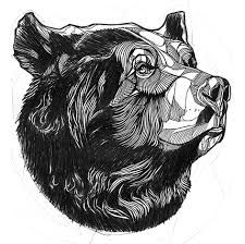 225x224 Image Result For Bear Tattoo Sketch Tattoo Designs - Bear Tattoo Sketch
