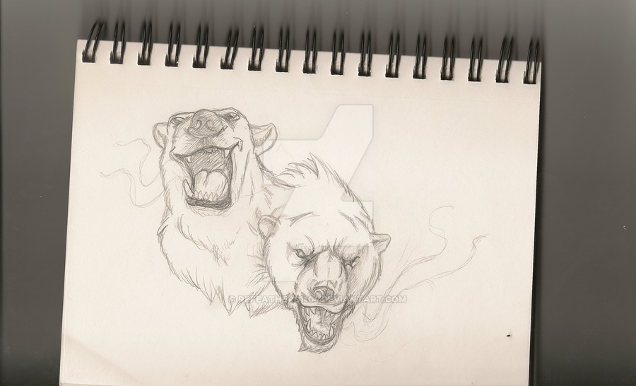 900x546 Polar Bear Tattoo Sketch By Refeathers1104 - Bear Tattoo Sketch