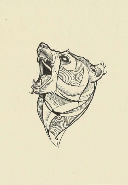 444x640 Bear Tattoo Sketch - Bear Tattoo Sketch