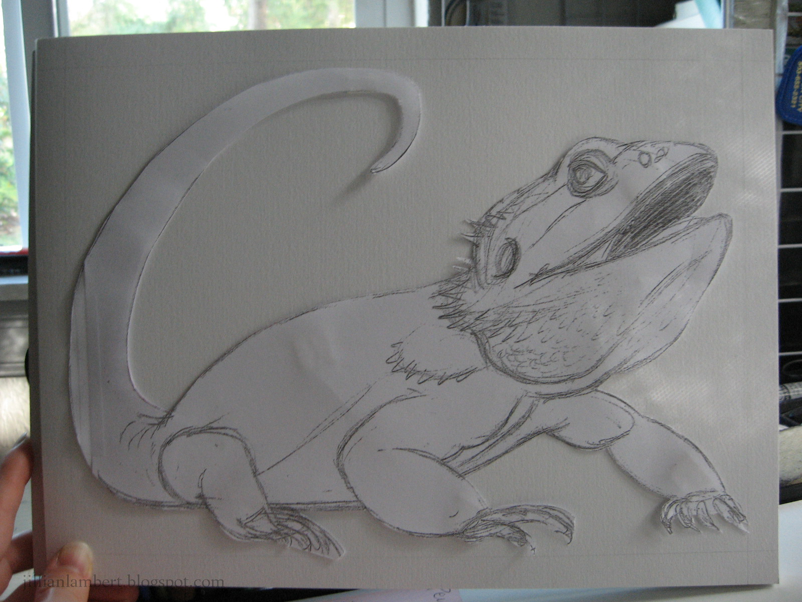 1600x1200 Brain Drain Art And Sketches By Jillian Lambert Oaxacan Bearded - Bearded Dragon Sketch