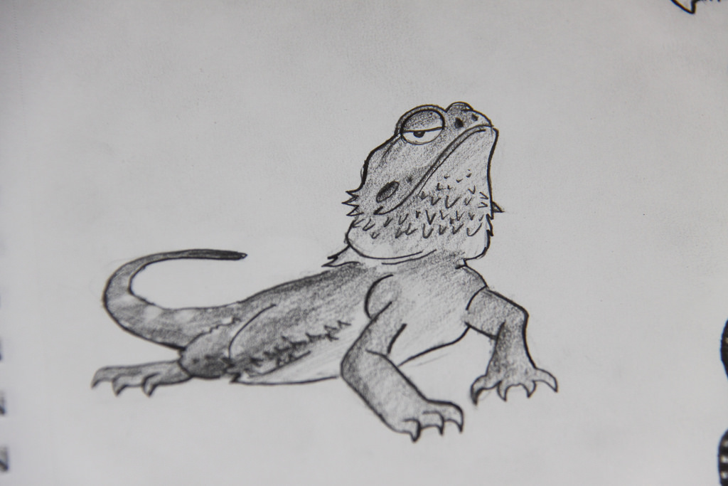 1024x683 Day 861000 - Bearded Dragon Sketch