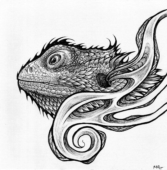 538x546 The 12 Best Art Journal Images Journal Ideas - Bearded Dragon Sketch