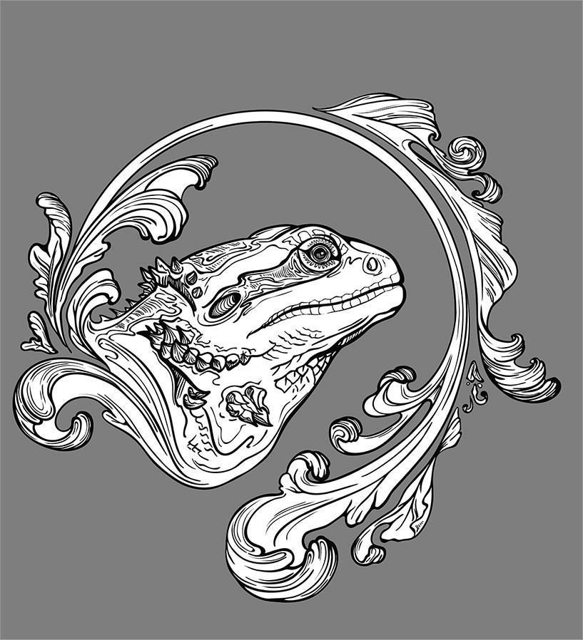 817x898 Bearded Dragon - Bearded Dragon Sketch