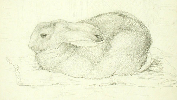 600x338 Between Naturalism And Fantasy The Art Of Beatrix Potter - Beatrix Potter Sketches