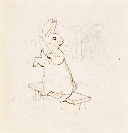 526x550 Early Beatrix Potter Sketches Sold For Paul Fraser Collectibles - Beatrix Potter Sketches