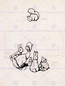 226x300 Helen Beatrix Potter Sketch Peter Rabbit Painting Book Design Art - Beatrix Potter Sketches
