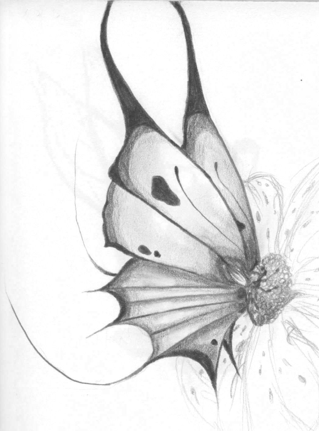 1041x1408 Beautiful Butterfly Sketches - Beautiful Butterfly Sketch