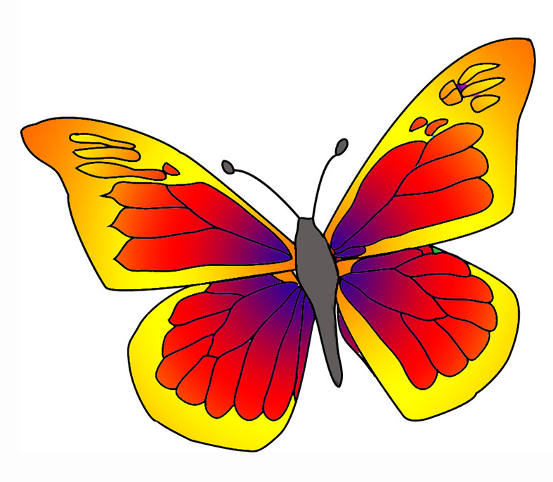 787x685 Beautiful Butterfly Images - Beautiful Butterfly Sketch