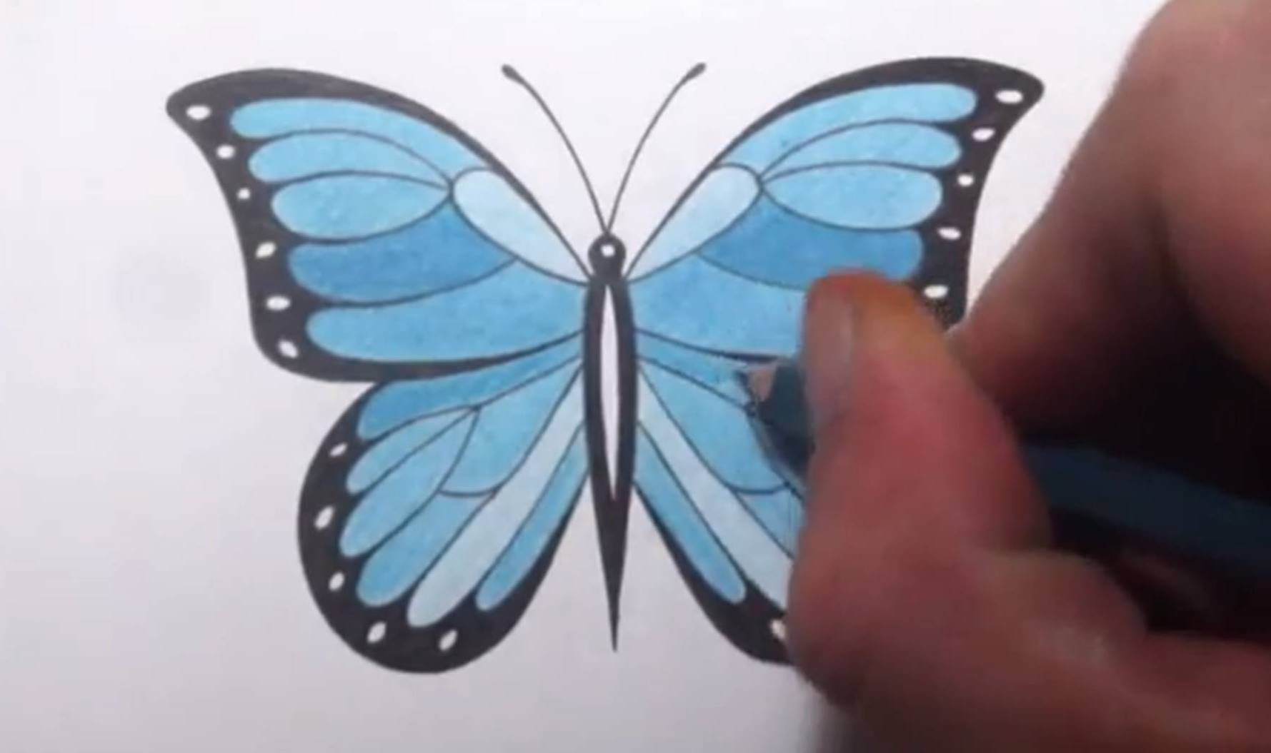1779x1055 How To Draw A Butterfly - Beautiful Butterfly Sketch