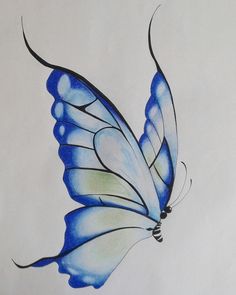 236x295 77 Best Butterfly Drawings Images Beautiful - Beautiful Butterfly Sketch