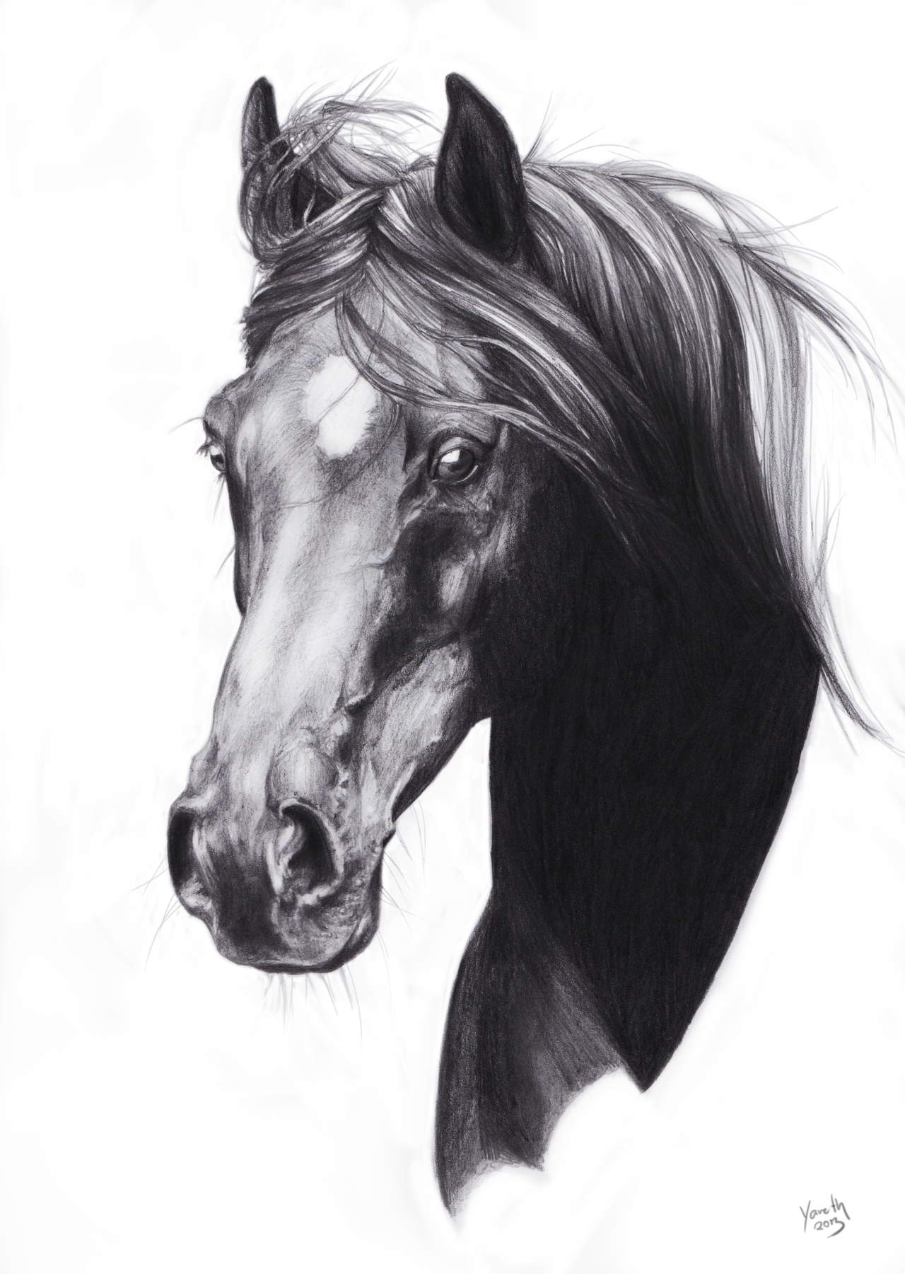 1280x1801 Beautiful Horse Picture For Pencil Sketching Horse Painting - Beautiful Horse Sketches