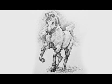 480x360 Drawing A Horse With Pencil How To Draw Beautiful Horses - Beautiful Horse Sketches