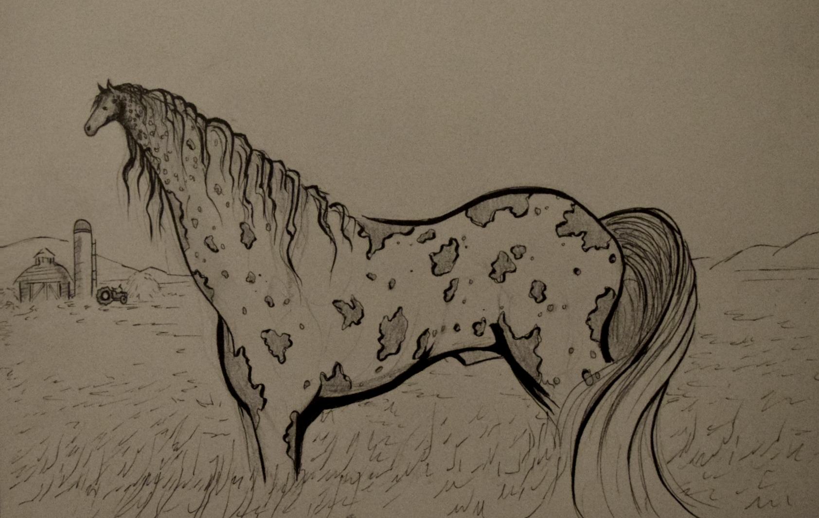 1684x1065 Drawing A Beautiful Horse - Beautiful Horse Sketches