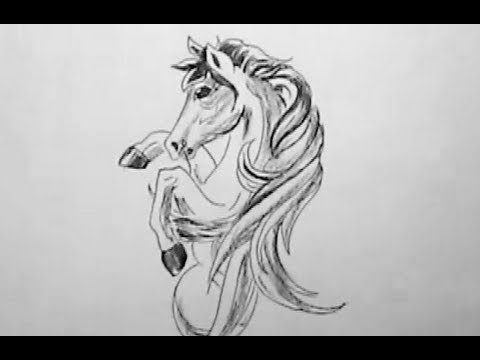 480x360 How To Draw A Horse With Pen And Charcoal Yzarts Yzarts - Beautiful Horse Sketches