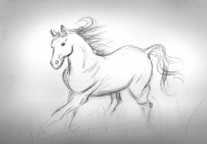 300x210 Pencil Sketches Of Horse Pencil Sketches Of Horse Beautiful Pencil - Beautiful Horse Sketches