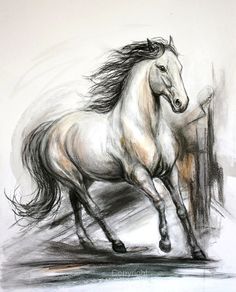 236x292 2642 Best Drawing Amp Coloring Horses Animals Images In - Beautiful Horse Sketches