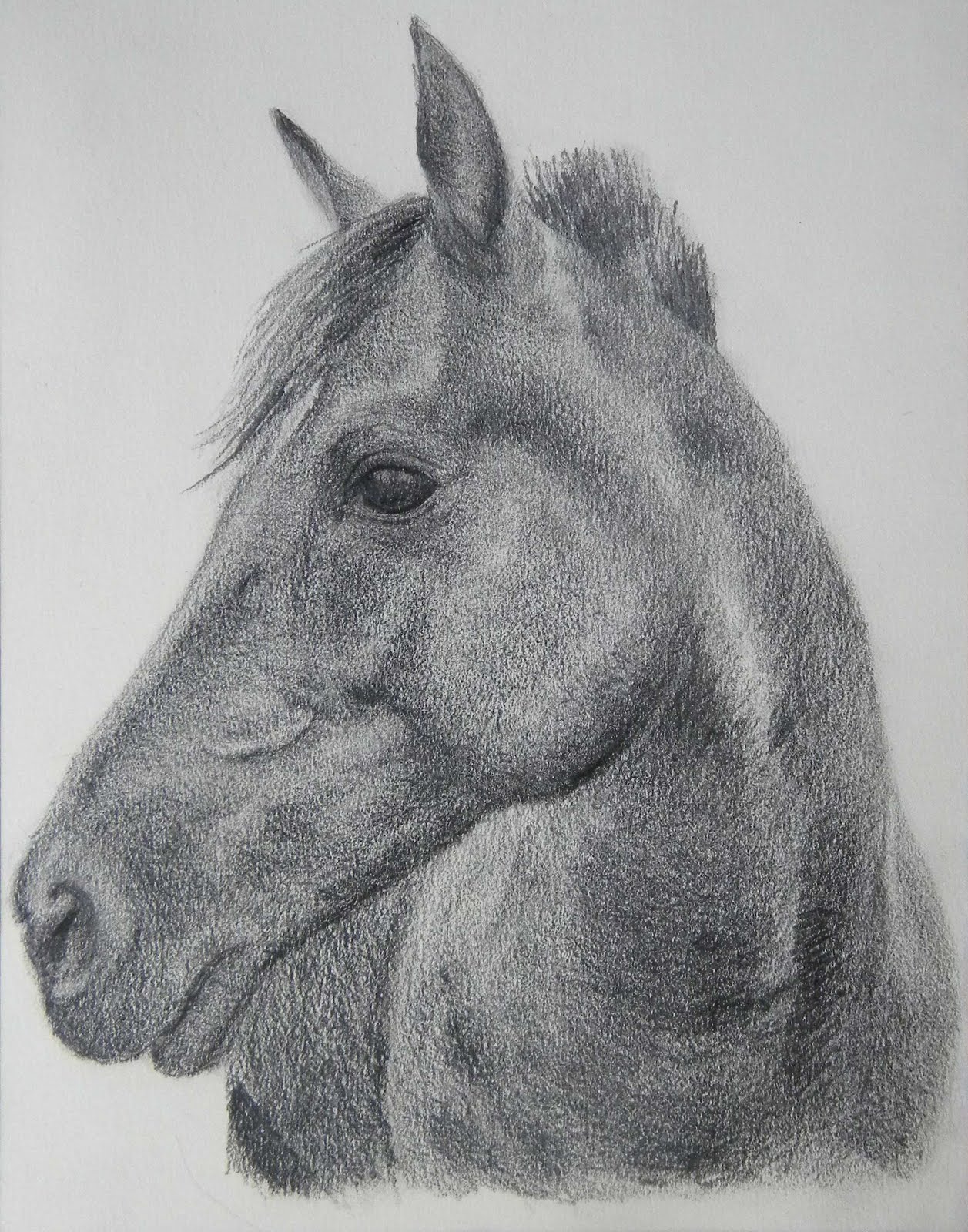 1257x1600 The Lonely Artist Horses - Beautiful Horse Sketches