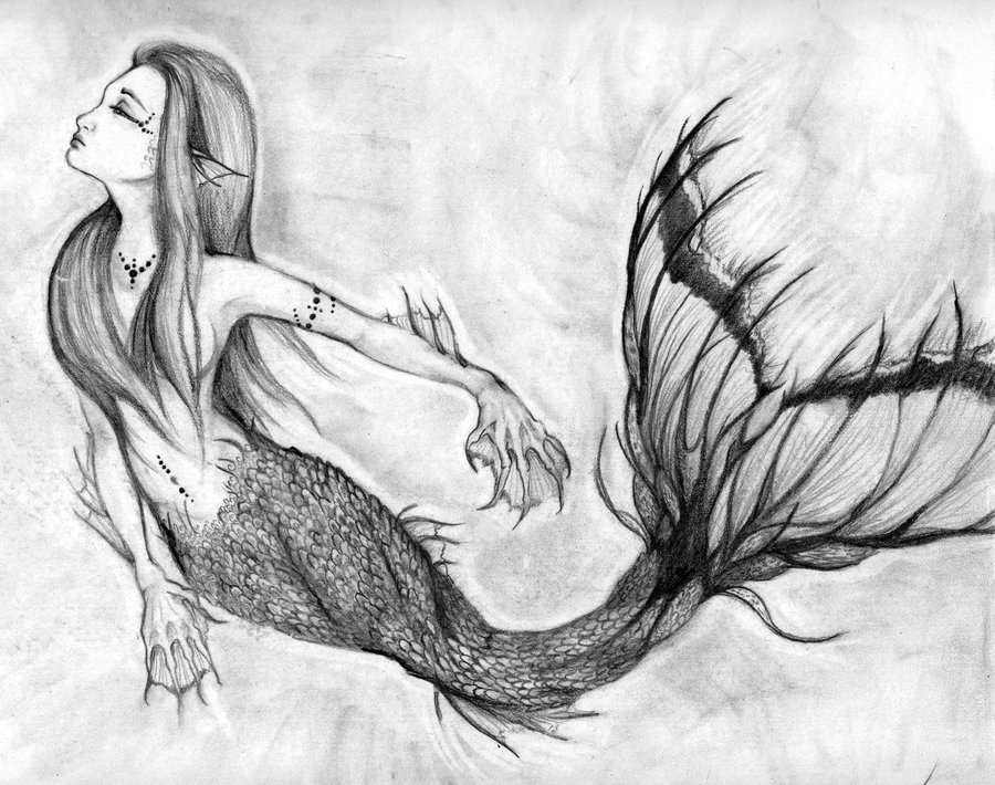 900x710 Collection Of Tattoo Drawing Of Mermaid - Beautiful Mermaid Sketches