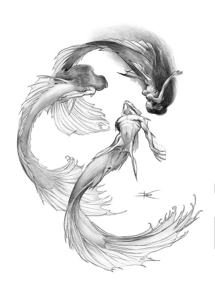 697x960 Photos Beautiful Mermaid Tail Sketches, - Beautiful Mermaid Sketches