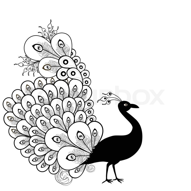 800x800 Card With Abstract Beautiful Peacock In Black And White Stock - Beautiful Peacock Sketch