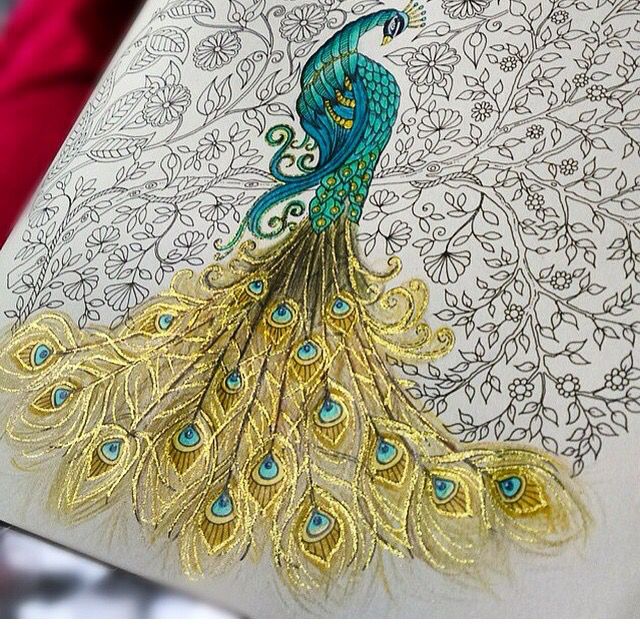 Beautiful Peacock Sketch at PaintingValley.com | Explore collection of ...