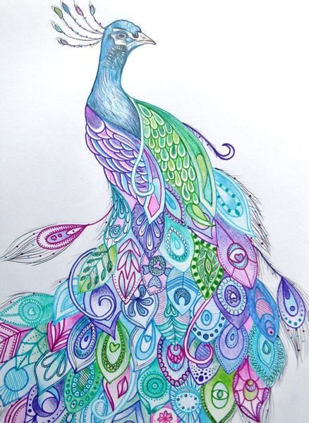 438x600 Ink For Me Yes Please! Peacock Art Print By Rachel Herworth - Beautiful Peacock Sketch