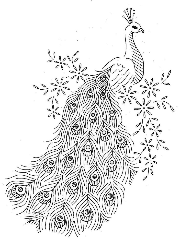 736x980 Peafowl Clipart Beautiful Peacock 10 - Beautiful Peacock Sketch