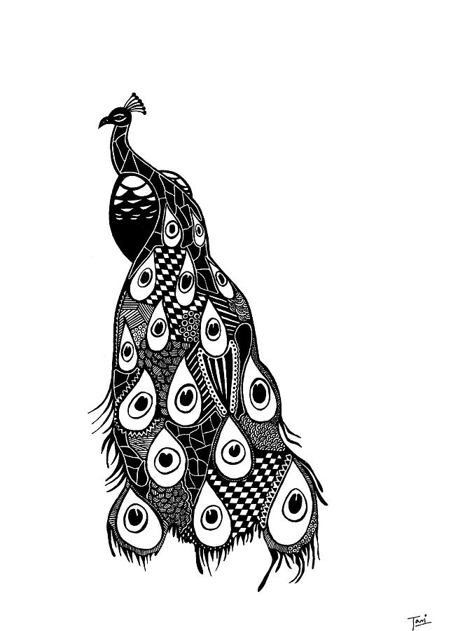 644x900 Beautiful Peacock Drawing By Tia Sachdeva - Beautiful Peacock Sketch