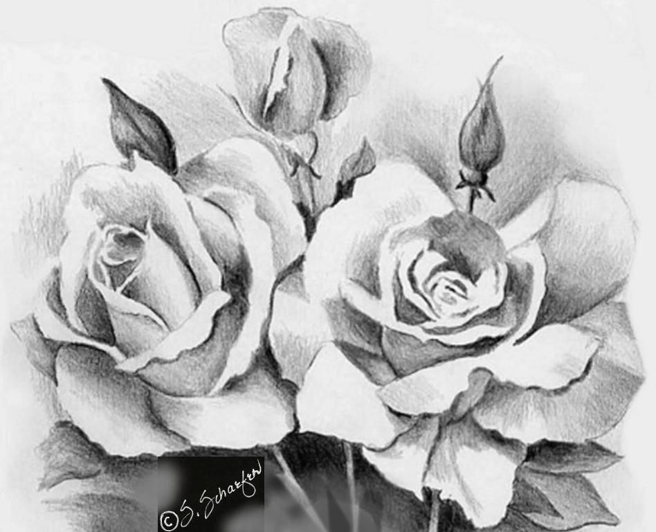 948x768 Beautiful Sketches Of Flowers Beautiful Rose Flower Bouquet - Beautiful Rose Sketch