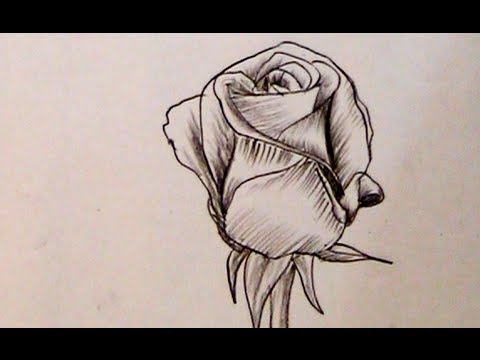 480x360 How To Draw A Beautiful Rose With Charcoal Pencil Yzarts - Beautiful Rose Sketch