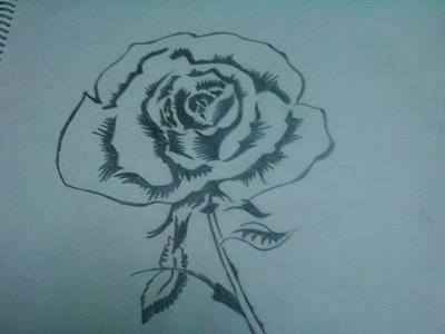 400x300 Beautiful Rose - Beautiful Rose Sketch