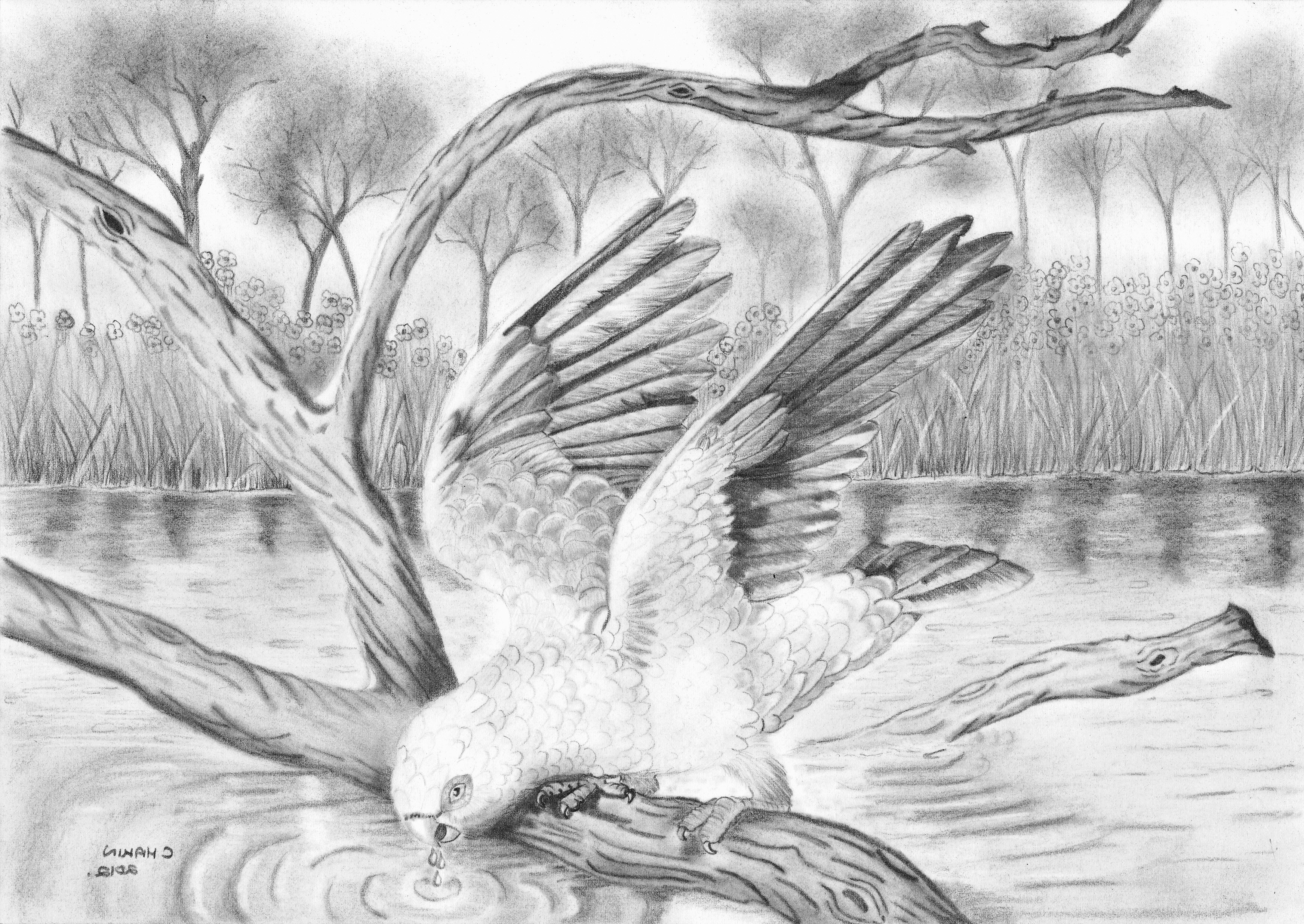 Beautiful Scenery Drawing Unique Beautiful Sketches Of Nature : 1 draw