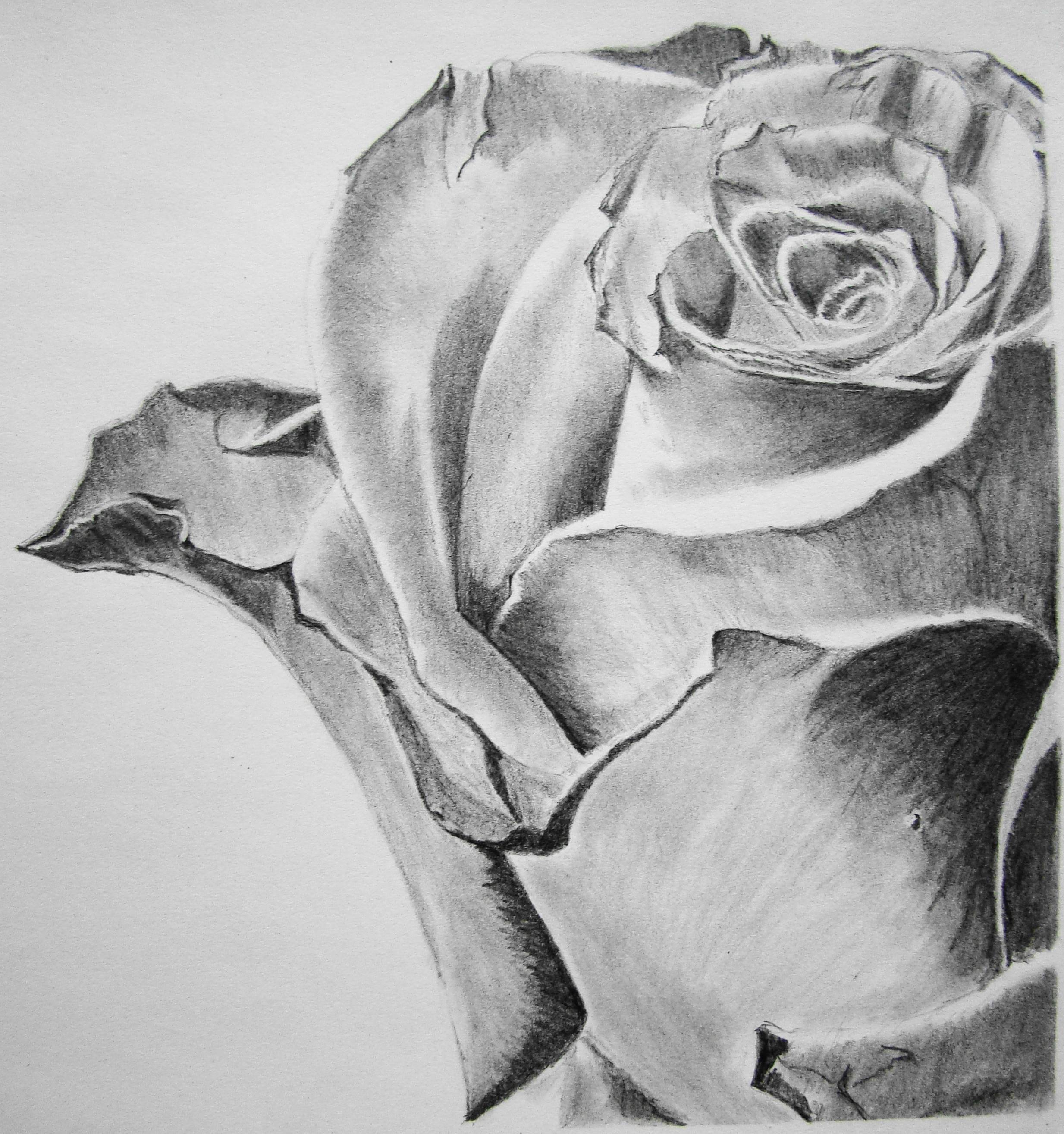 2467x2630 Pencil Art Wallpapers Group - Beautiful Sketch Art