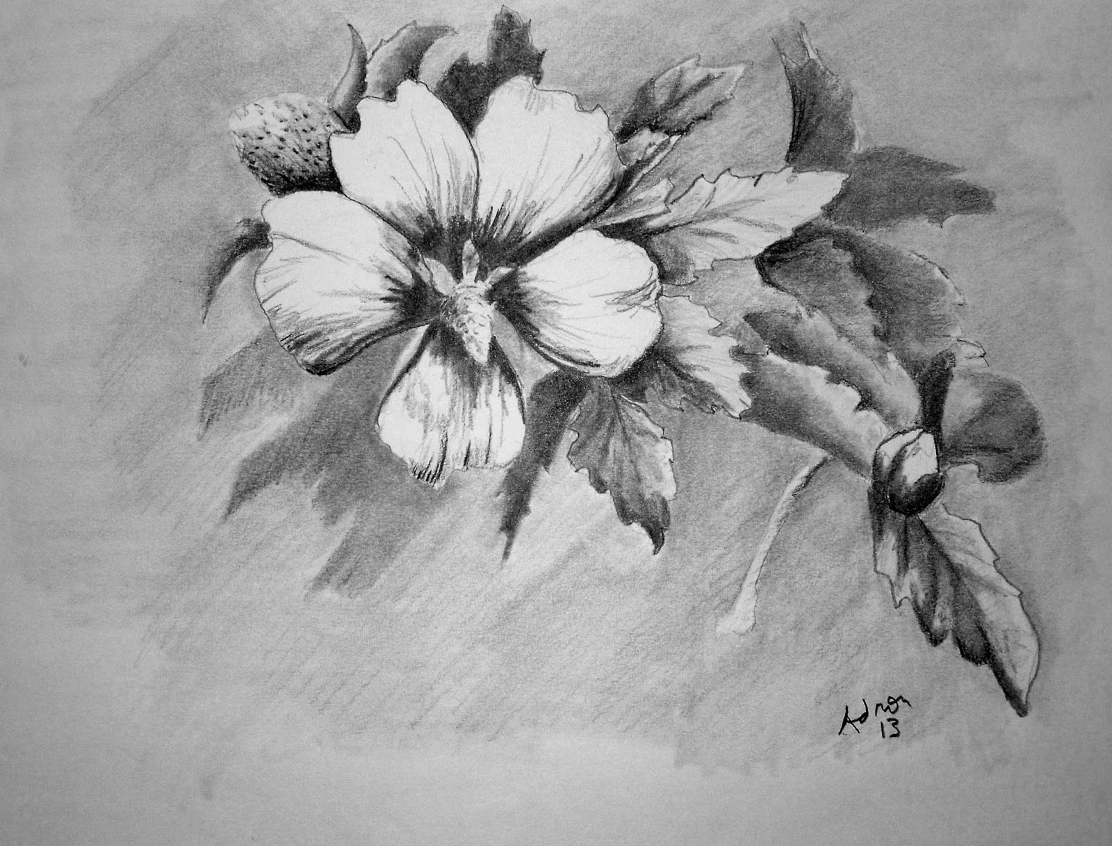 1600x1217 Pictures Sketching Pencil Beautiful, - Beautiful Sketches