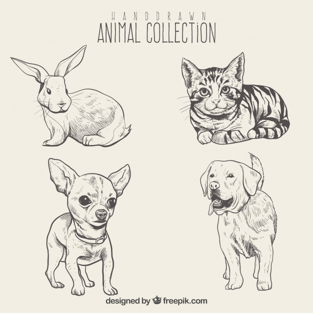 626x626 Sketches Of Beautiful Animals Set Vector Free Download - Beautiful Sketches