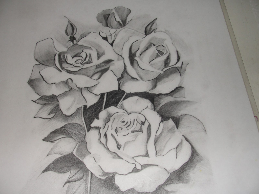 1024x768 Pencil Sketch Flower Images Beautiful Pencil Sketches Of Flowers - Beautiful Sketches Of Flowers
