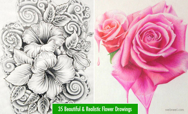 660x400 45 Beautiful Flower Drawings And Realistic Color Pencil Drawings - Beautiful Sketches Of Flowers