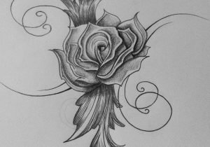 300x210 A Image Of Sketch Beautiful Flowers Pencil Sketch Flowers Pencil - Beautiful Sketches Of Flowers