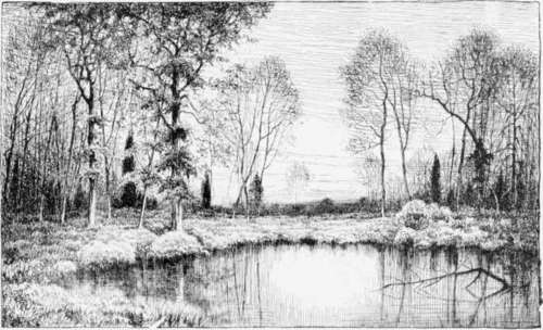 500x304 Beautiful Pencil Drawings Of Naturepencil Sketches Nature Art - Beautiful Sketches Of Nature