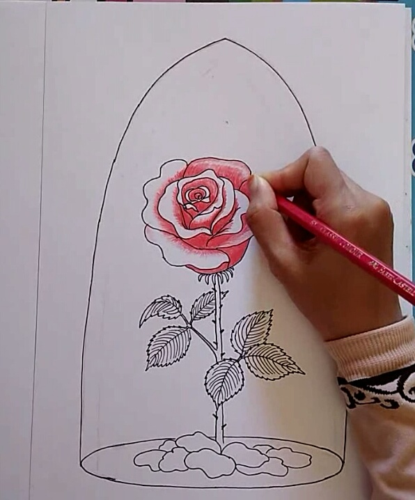 596x718 Drawing Challenge - Beauty And The Beast Rose Sketch