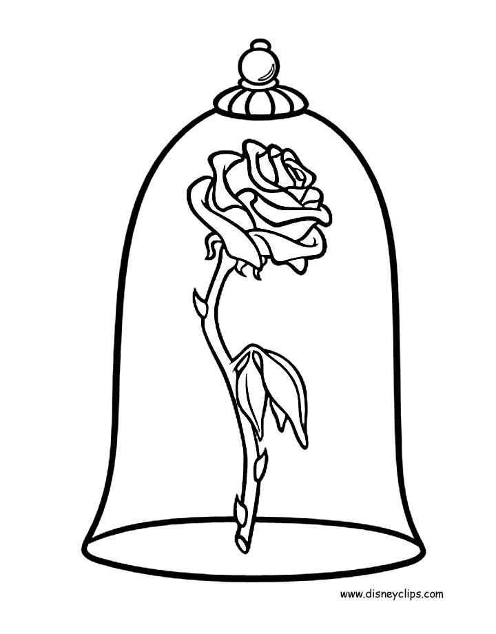 720x920 Image Result For How To Draw The Rose From Beauty And The Beast - Beauty And The Beast Rose Sketch