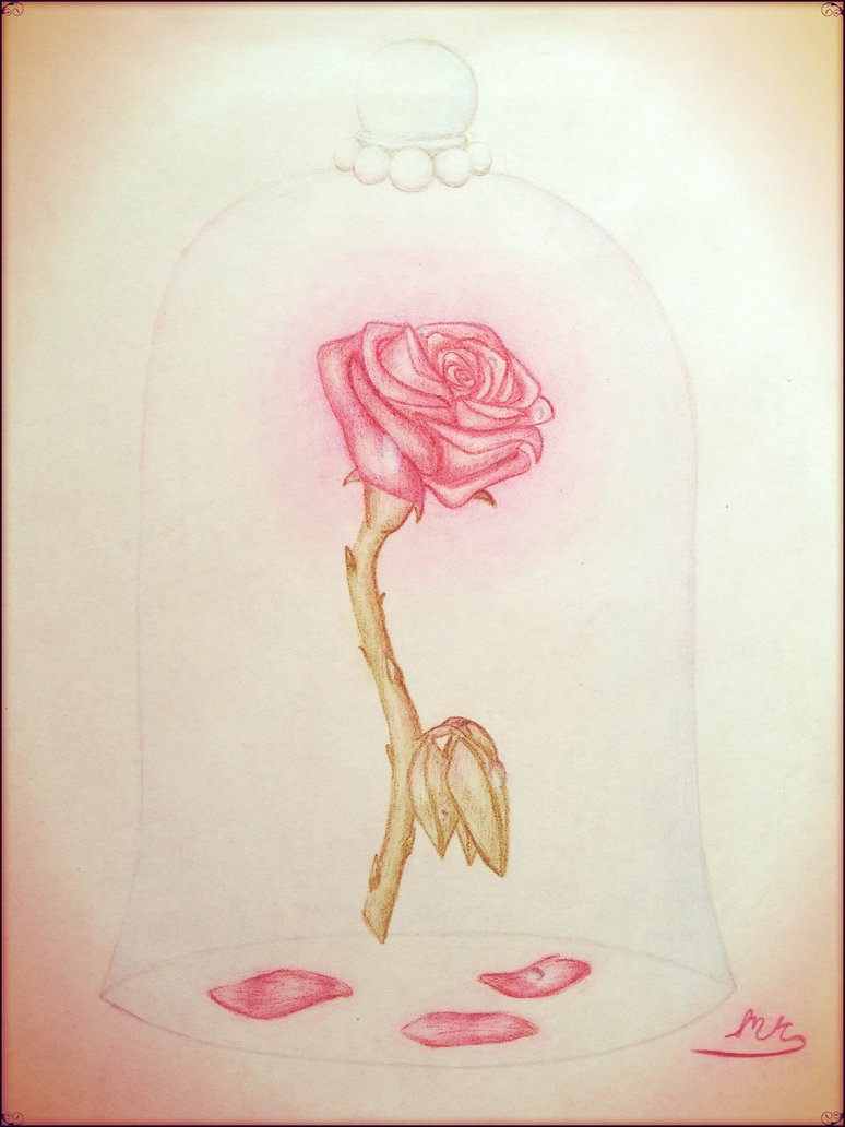 Beauty And The Beast Rose Sketch At Paintingvalley Com Explore Collection Of Beauty And The Beast Rose Sketch