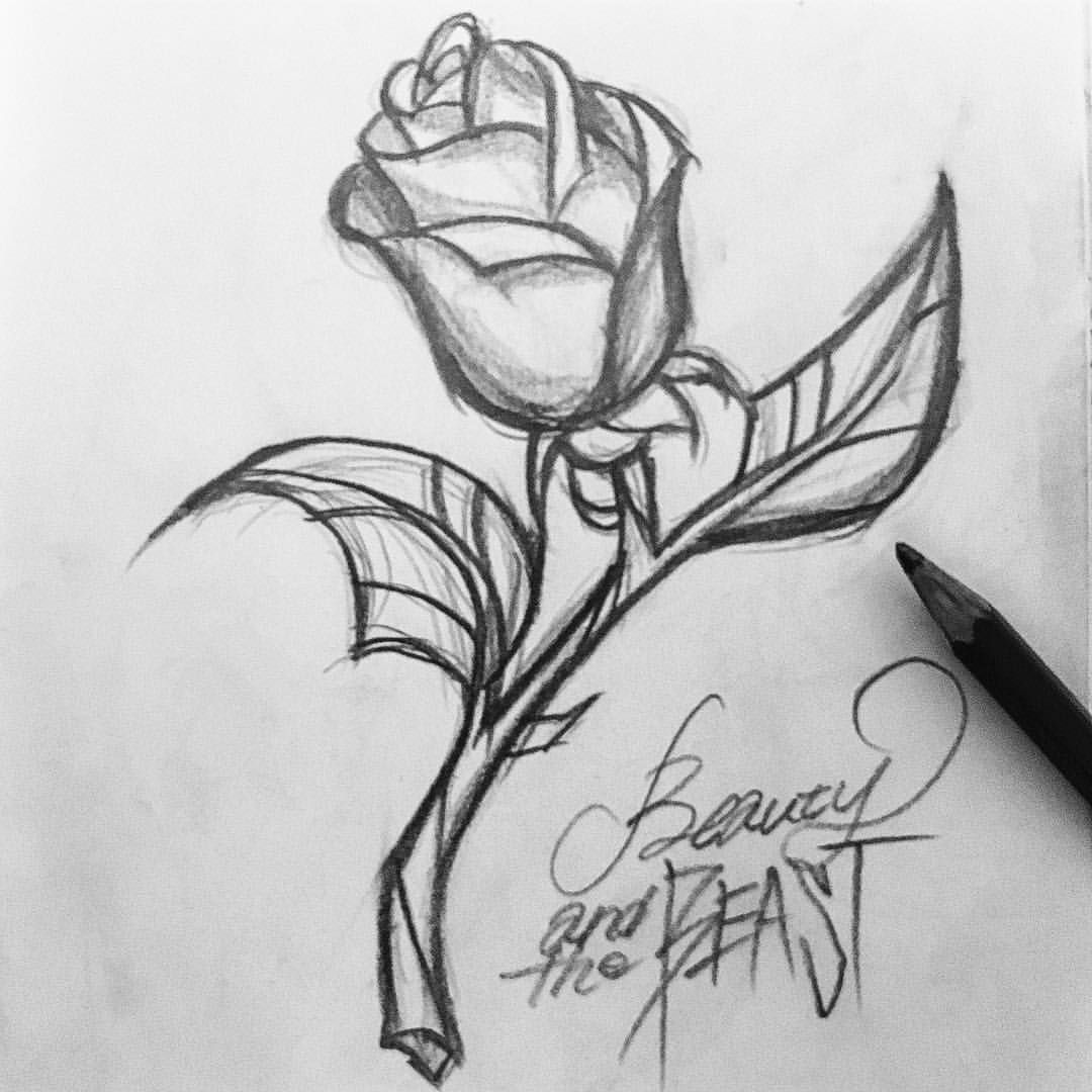 1080x1080 Beauty And The Beast - Beauty And The Beast Sketch