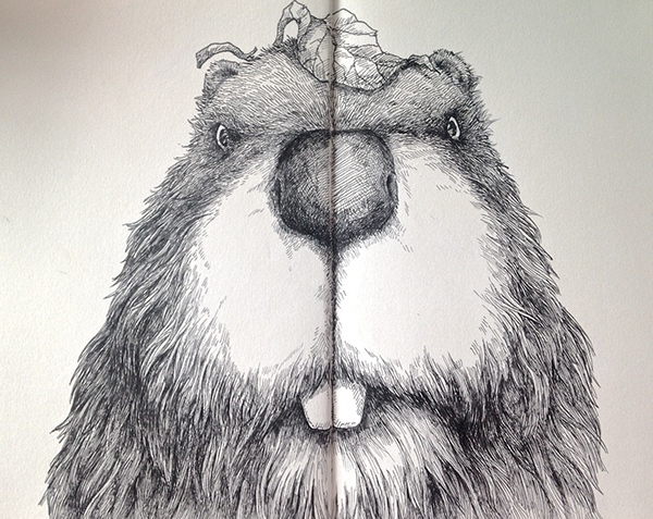 600x477 Mr.beaver - Beaver Sketch