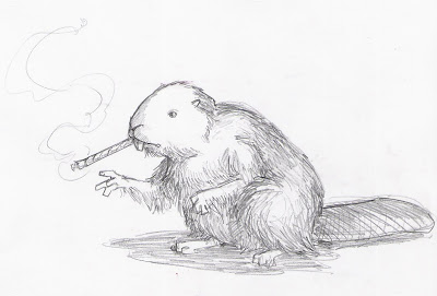 400x271 The Royal Daily Sketch One Smoking Beaver Sketch 01 - Beaver Sketch